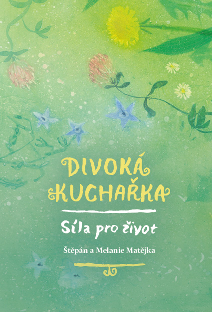 DKobalDnet